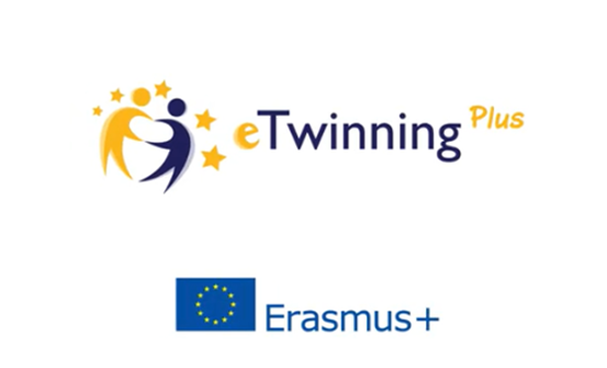 e_twinning