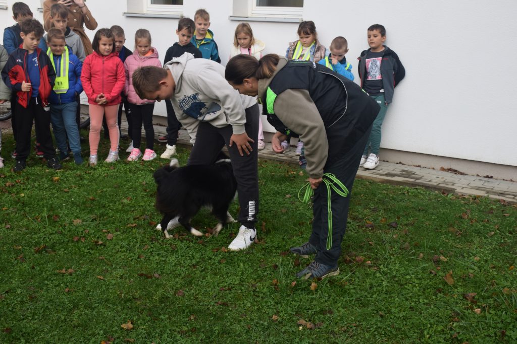 ND Duševno zdravje (28)