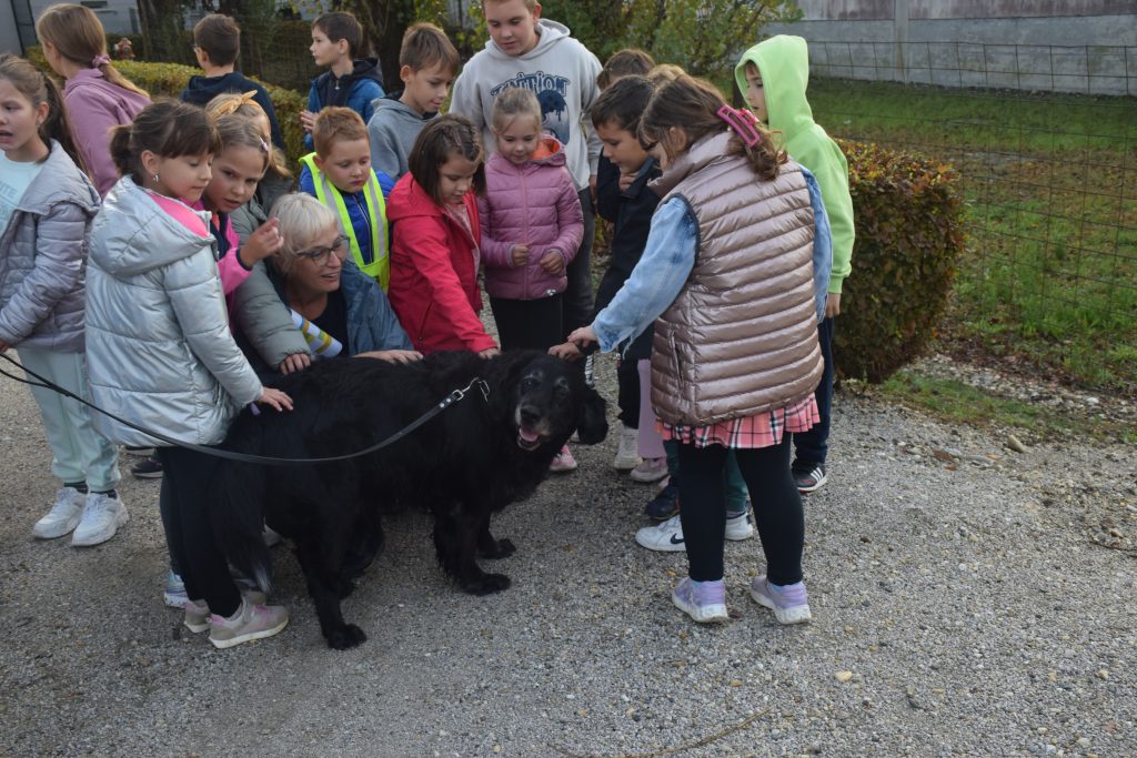 ND Duševno zdravje (6)